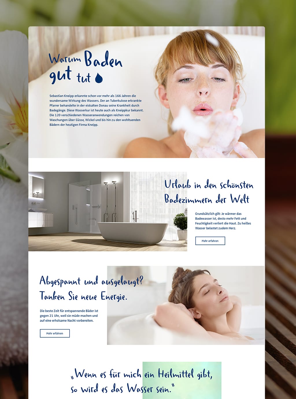 Screenshot of Kneipp website